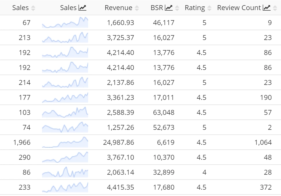 Amazon sales revenue